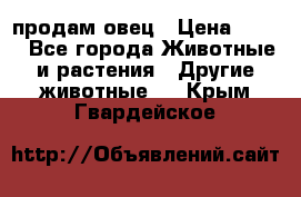  продам овец › Цена ­ 100 - Все города Животные и растения » Другие животные   . Крым,Гвардейское